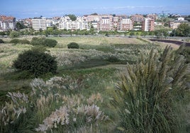 La vaguada de Las Llamas.