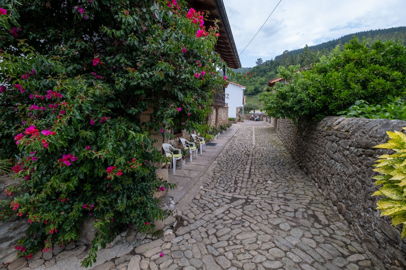 Una calle floreada en el pueblo.