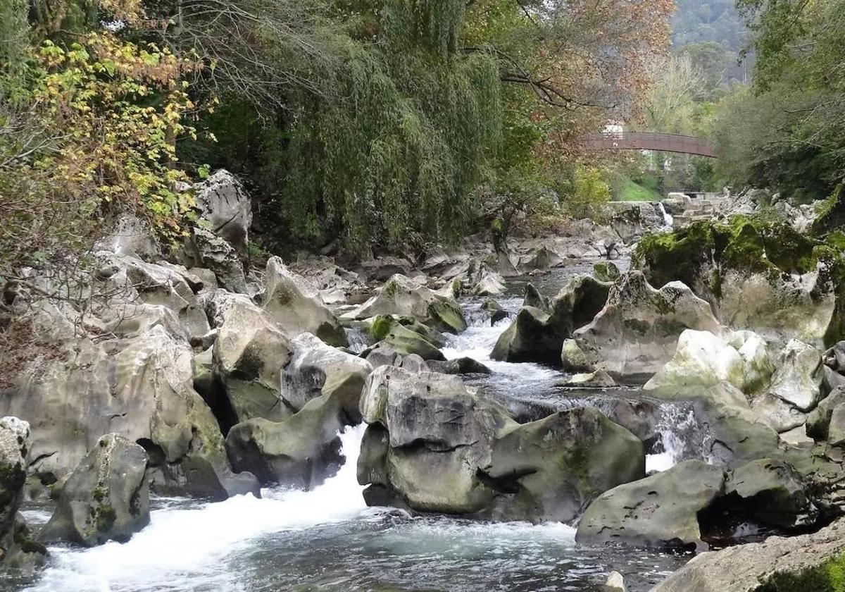 Un tramo del río Pas.