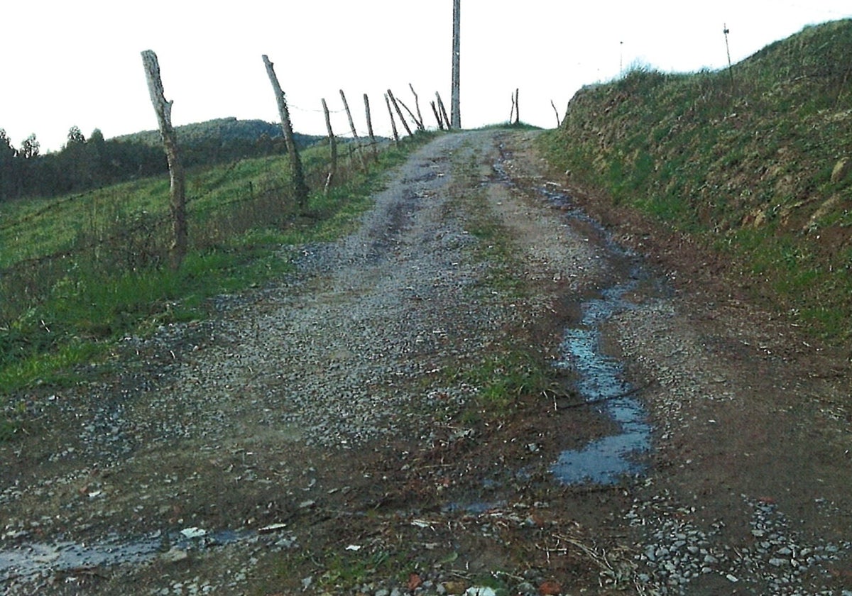 Camino rural de Meruelo.