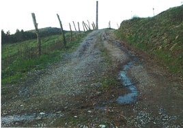 Camino rural de Meruelo.