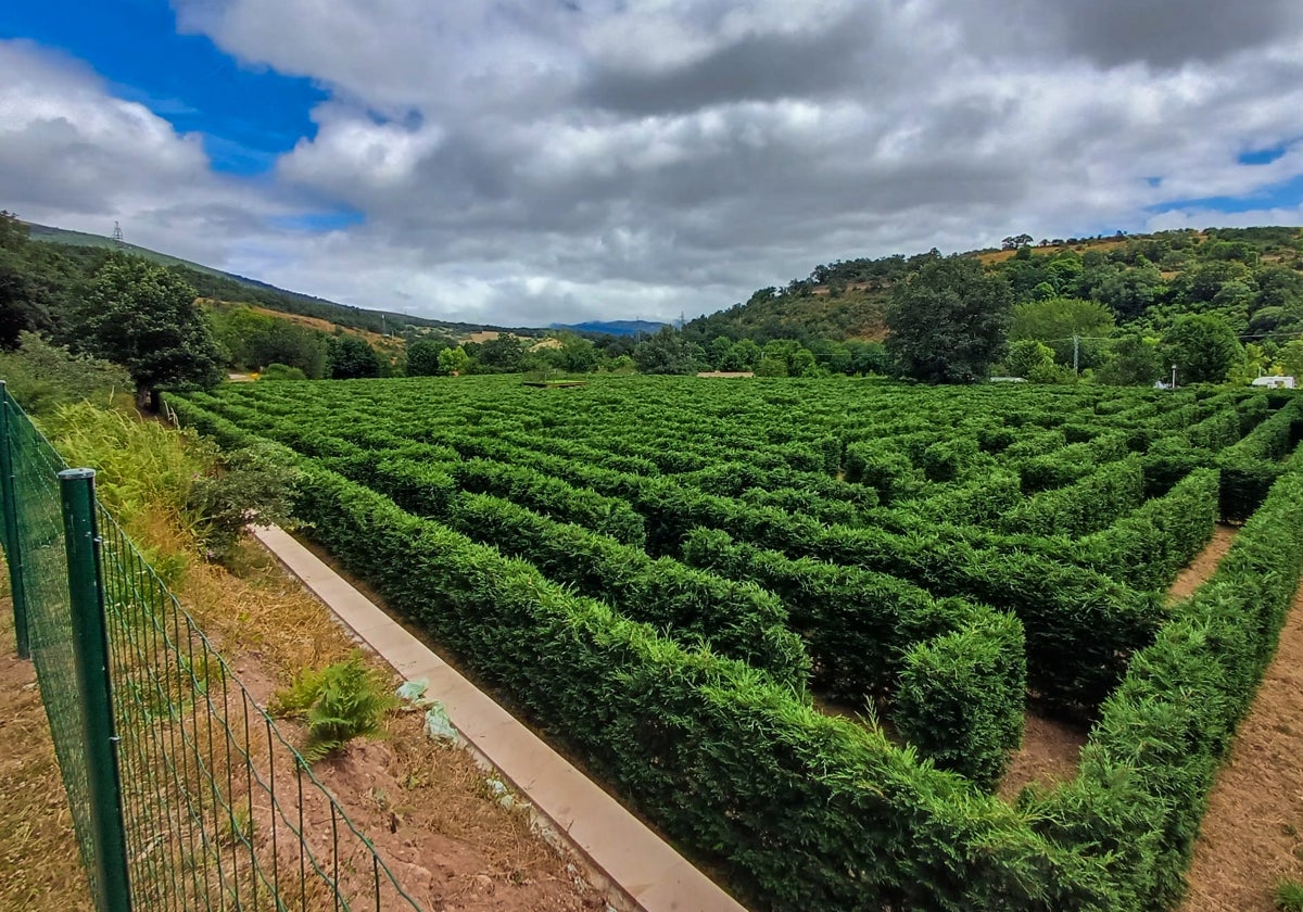 Cantabria estrena otro laberinto, está en Campoo de Suso y es uno de los más grandes del país