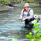 Un pescador de truchas, en plena faena metido en el río Deva a la altura de la localidad de La Hermida.