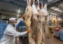 Pollo, cerdo, vacuno, cordero y lechazo son los tipos de carne que trabaja la compañía.