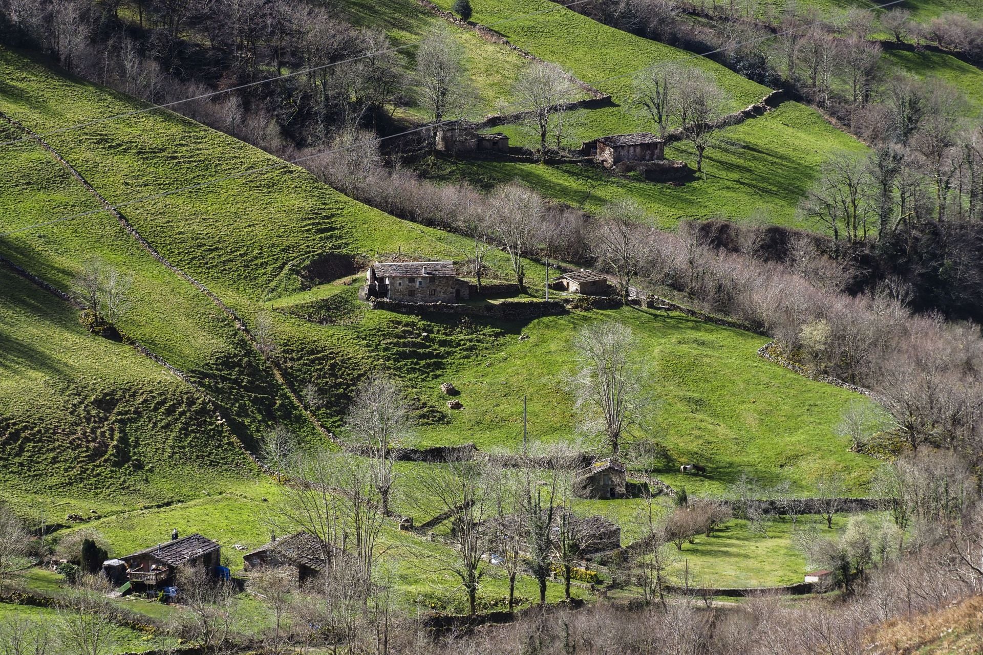 Paisaje típico de la zona, con una cabaña pasiega de fondo.