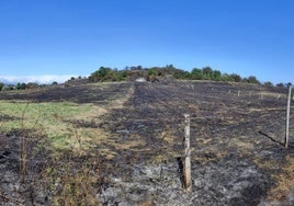 Los postes del terreno que se ha calcinado en la Hermandad de Campoo de Suso