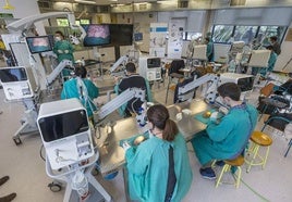 Curso de neurocirugía, con órganos reales y alta tecnología, celebrado en la Facultad de Medicina de la UC.