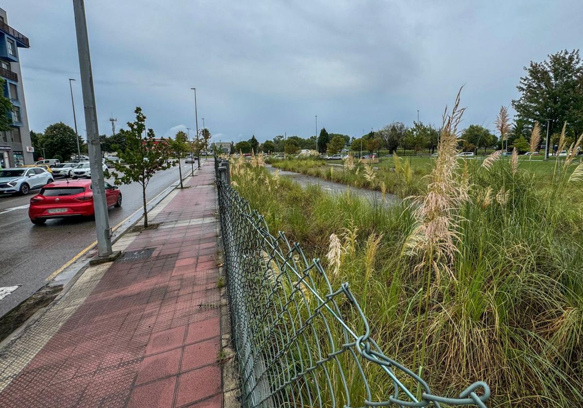 Parcela de la calle Francisco Tomás y Valiente en la que se pretende levantar la nueva gasolinera.