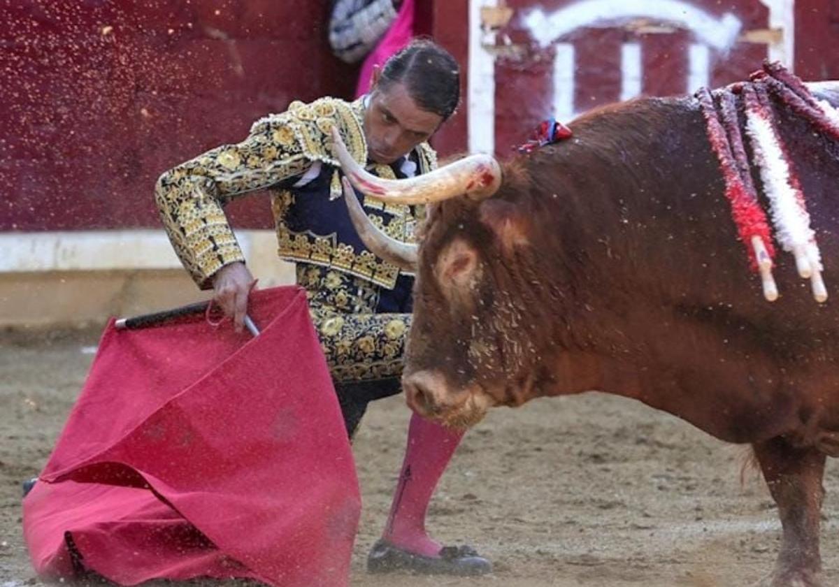 «Sólo tengo una tauromaquia en la cabeza, la de poder con todos los animales»