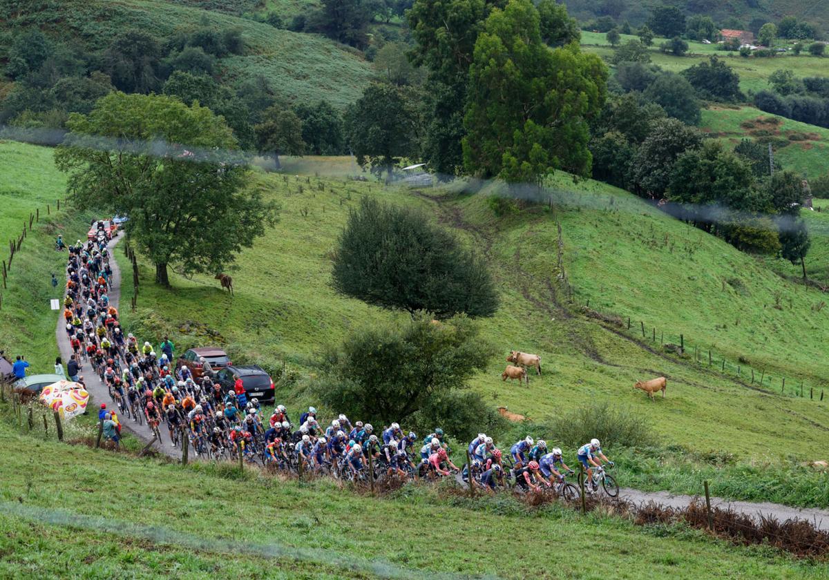 El pelotón el pasado miércoles por Cantabria