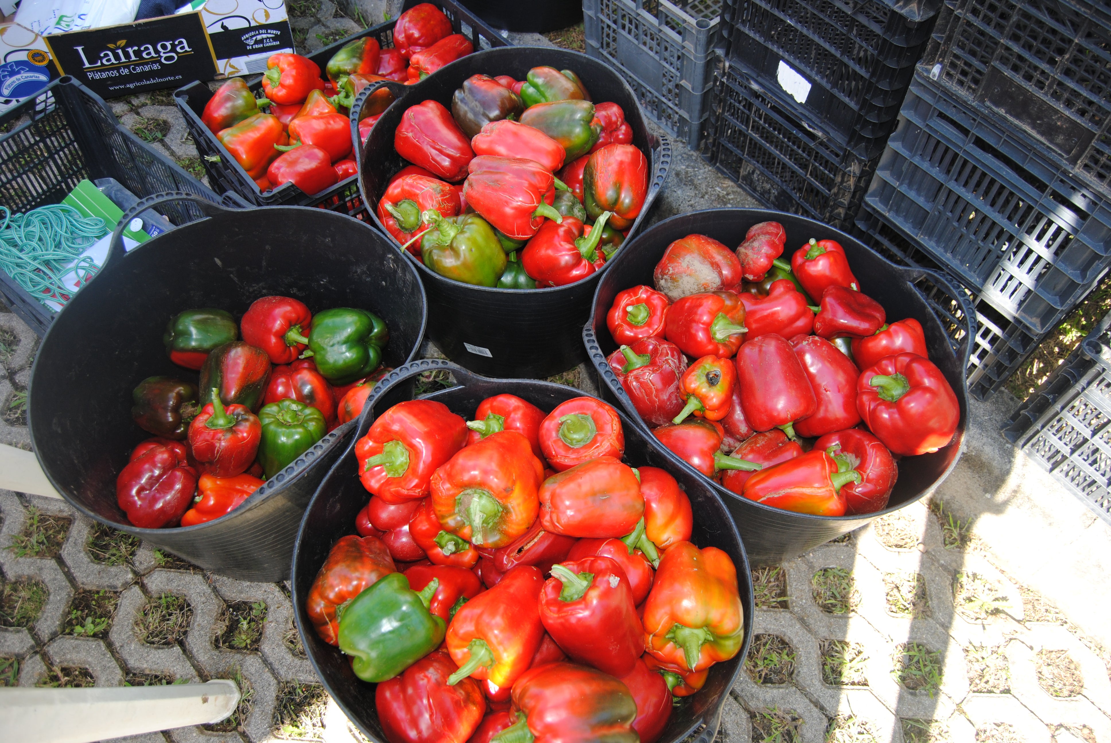 Los pimientos rojos de Isla fueron el producto más demandado