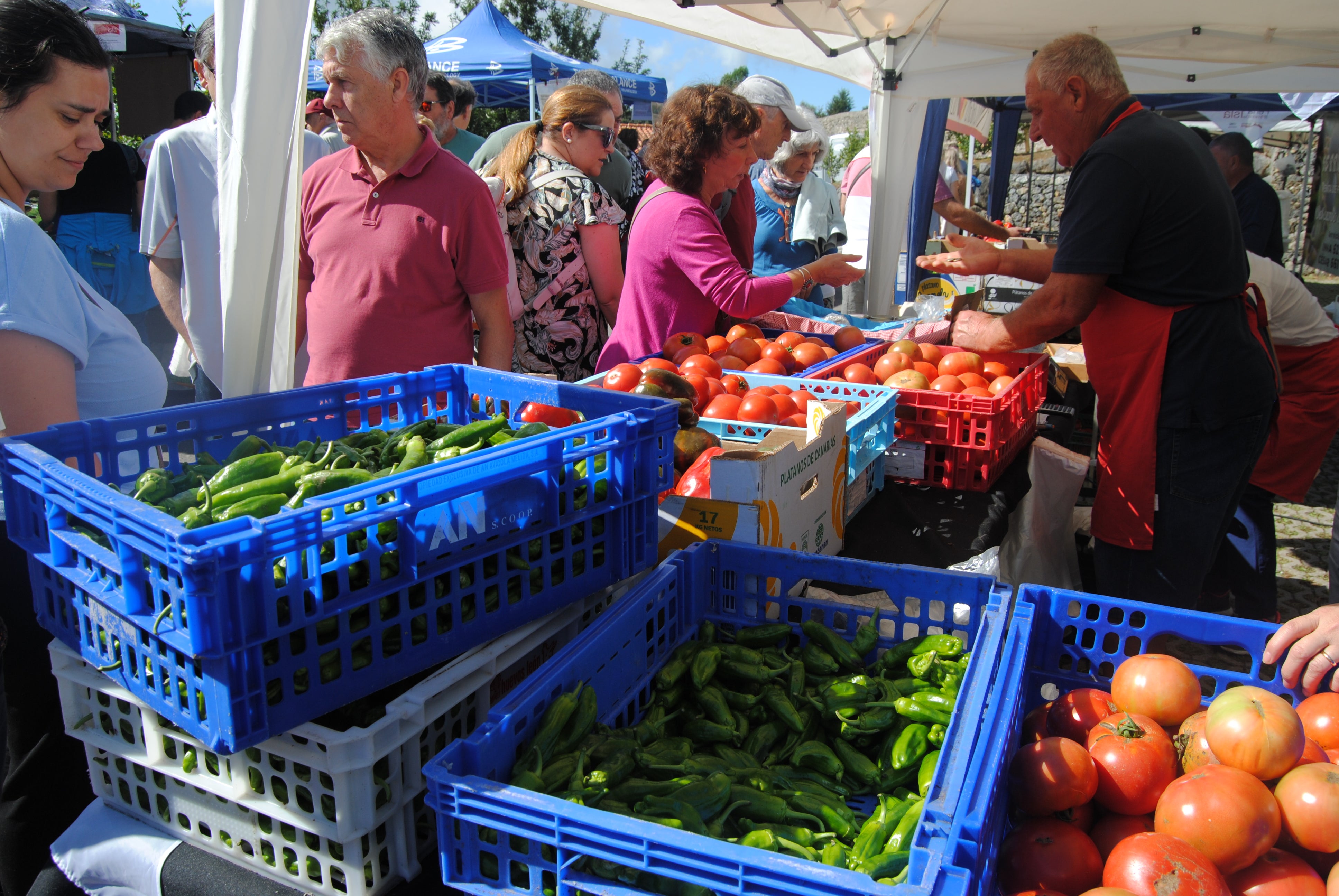 Durante la feria se vendieron toneladas de las variedades de pimiento verde y rojo, además de otros productos de la huerta. 