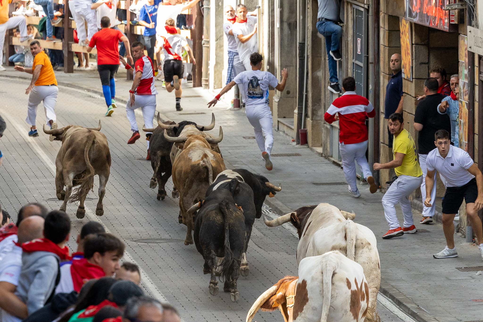 Fue un toro negro el que dominó el recorrido y el que, ya en la calle Mayor, se orientó a su izquierda para coger y arrastrar a un joven alavés de 31 años.