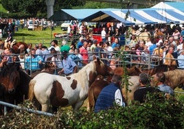 El público asistente a la feria contempla ejemplares de equino