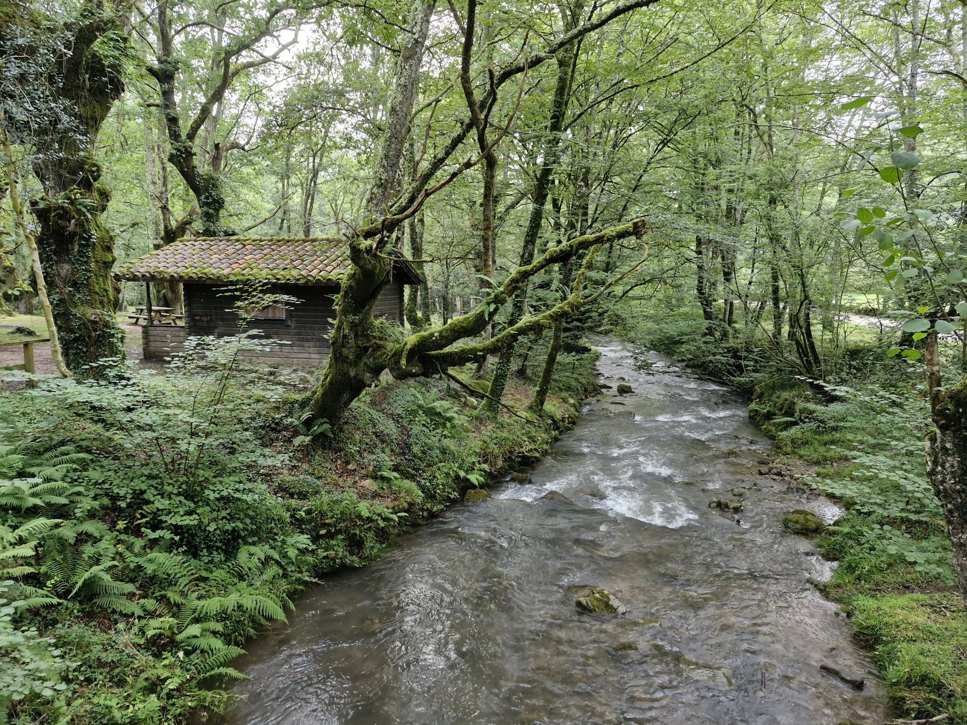 La Ruta de los Puentes