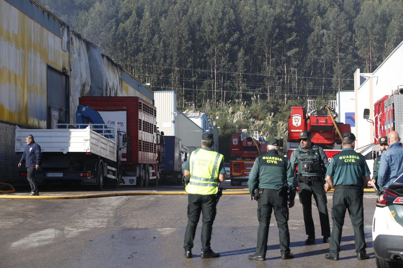 A la zona se han acercado numerosas personas, además de los responsables del taller 