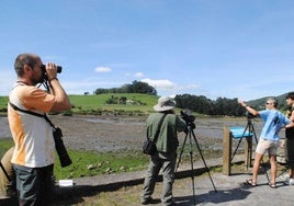 Participantes en el Festival de Migración de las Aves en las marismas de Santoña.