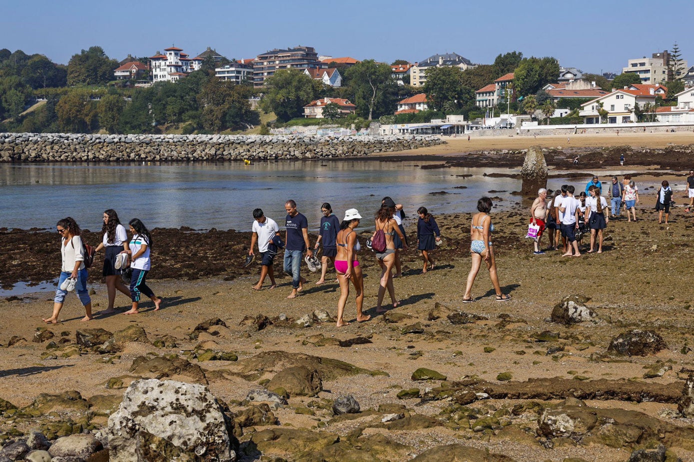 La bajamar permitía una procesión de curiosos desde La Magdalena a la Isla de la Torre.