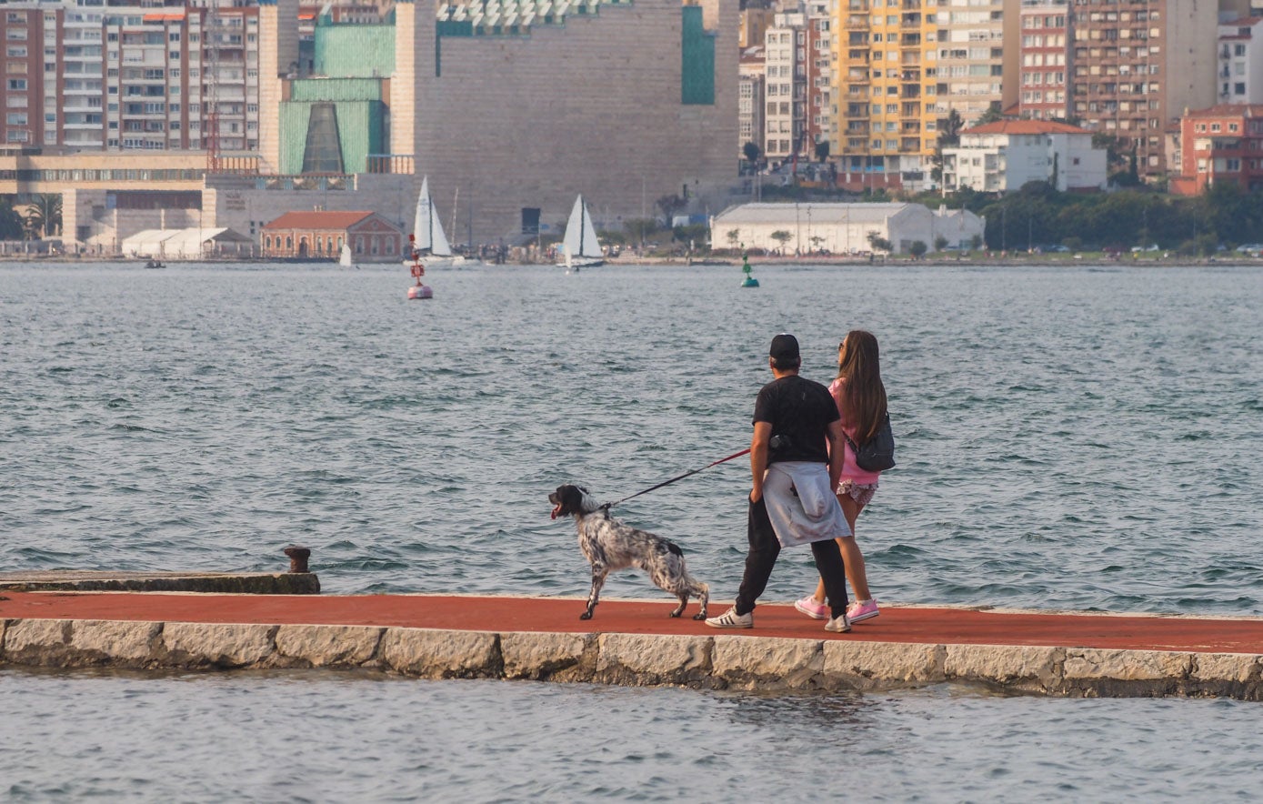 Una pareja pasea a su perro durante la pleamar en Pedreña.