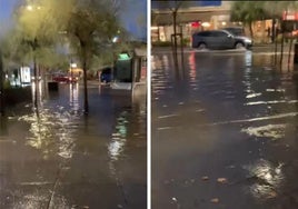 Imágenes tomadas en una de las terrazas de la Plaza de Italia.