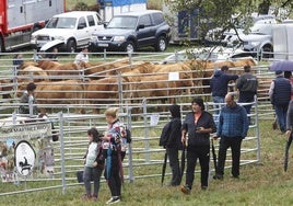 Más de un millar de reses participaron en la pasada edición de la feria.