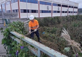 La Confederación Hidrográfica del Cantábrico impulsa la conservación del arroyo Regatón en Laredo.