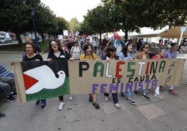 Apoyo al pueblo palestino en las calles de Santander