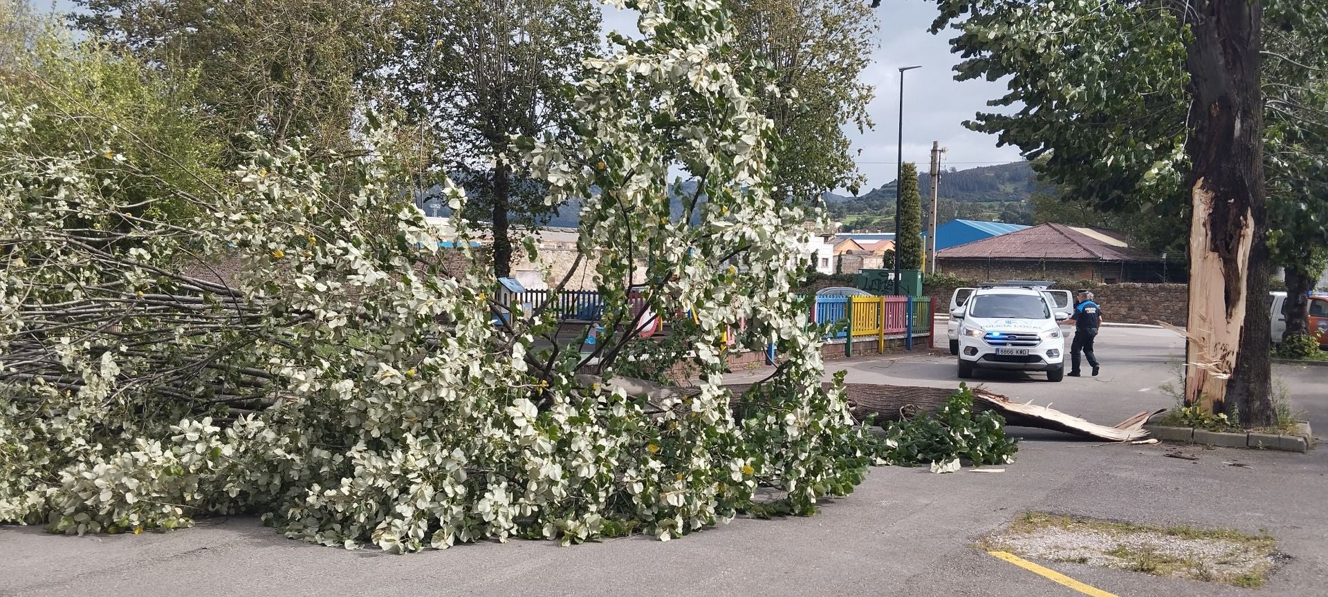 Un árbol caído en la calle en Los Corrales