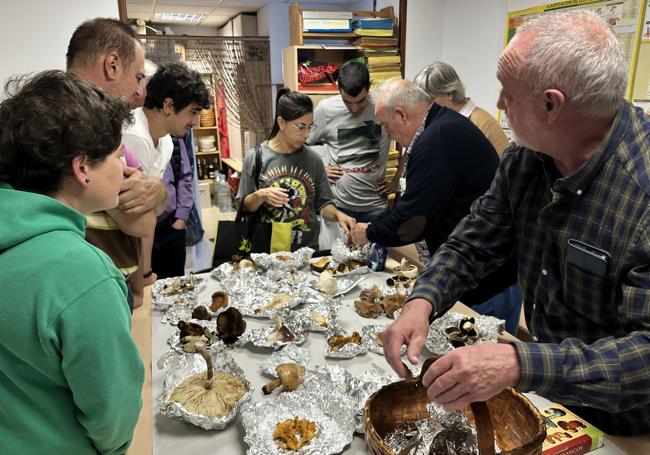 Un grupo aficionados comprueba en el local de Maliaño si las setas recogidas son tóxicas, comestibles y su valor culinario o gastronómico.