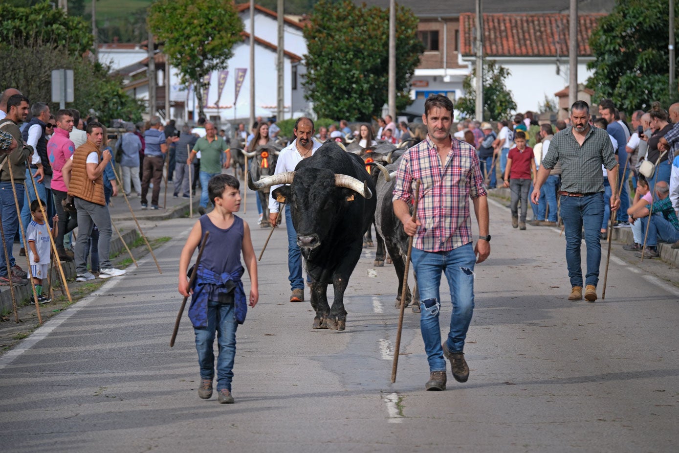 Jóvenes y mayores llevan juntos el ganado.