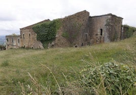 Las ruinas del Palacio Gómez del Corro, con la vegetación extendiéndose por el conjunto.