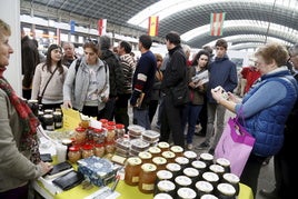 La mayor feria apícola de España se celebra este fin de semana en Torrelavega