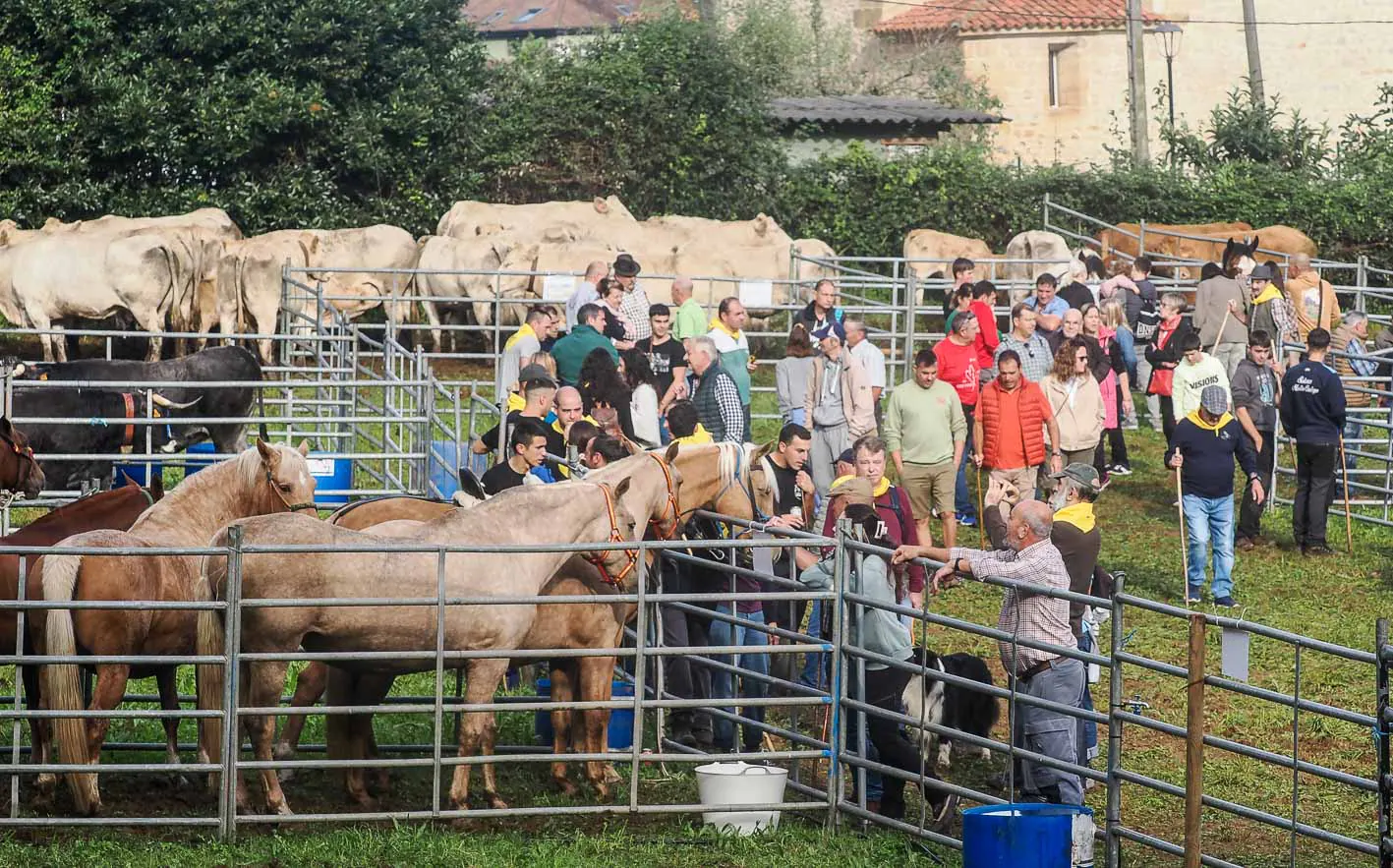 Vacas y caballos se llevan el protagonismo entre la gente.