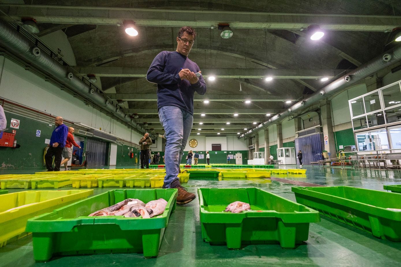 Toca ver uno a uno cada pescado que acaba de llegar a la lonja para elegir el mejor