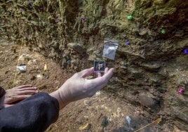 Muestra la muela de neandertal en el yacimiento de la Cueva del Castillo.