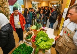 Una muestra de verduras y hortalizas de la huerta, en la feria de productores.