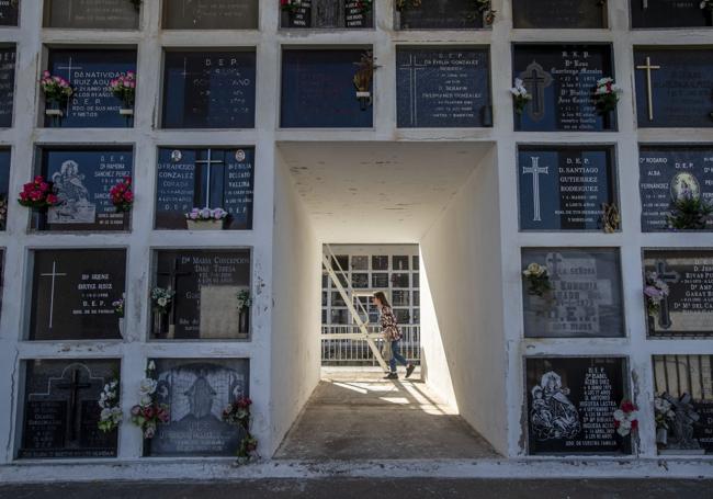 Los familiares sacan brillo a las lápidas de los nichos.