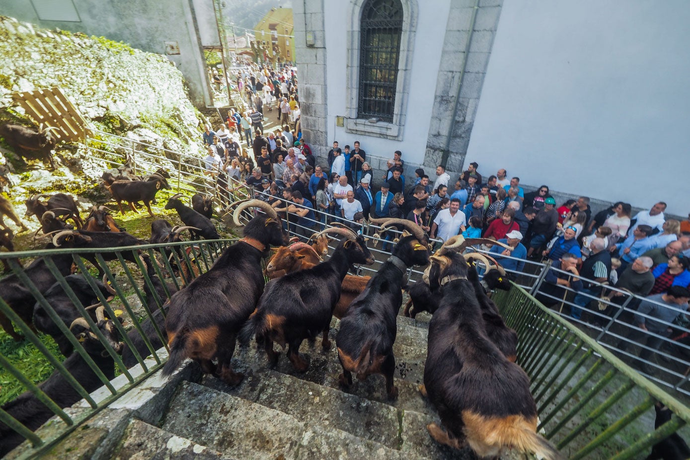 Durante todo el día, una multitud de personas pasaron por el municipio para disfrutar de la concentración ganadera.