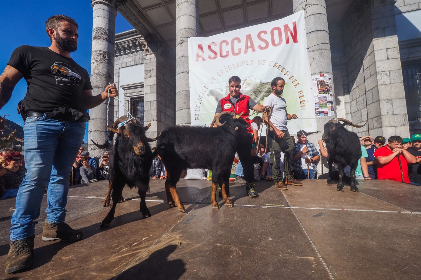 El concurso fue organizado por la Asociación de criadores de cabra del Asón (ASCCASON).