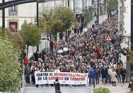 Vista de la manifestación, este sábado, para reclamar soluciones sanitarias para la comarca.