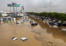 Vídeo montaje creado por inteligencia artificial de una hipotética inundación en la Plaza Porticada.