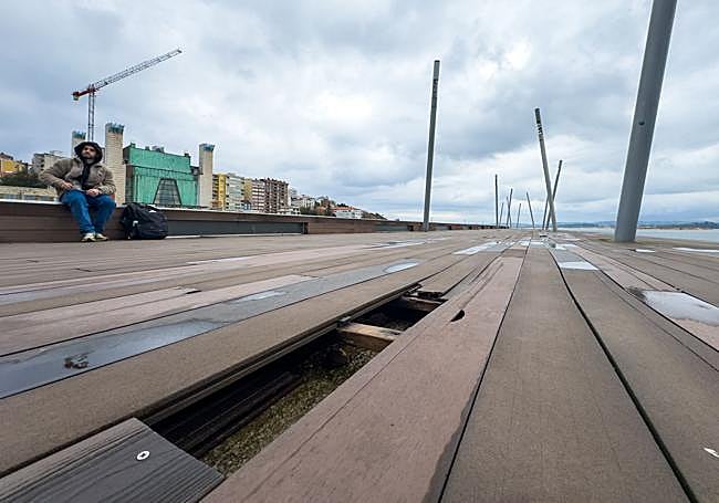 La madera de la Duna de Zaera, levantada.