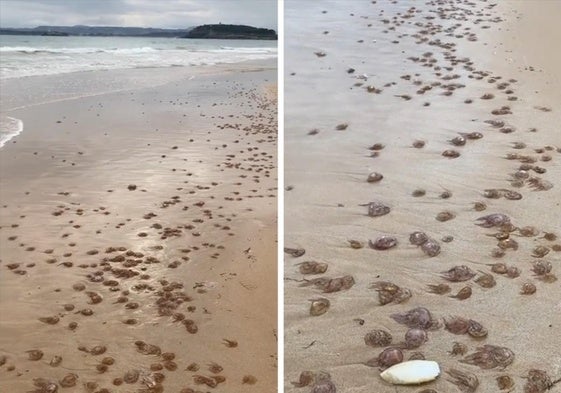 Estampa de la Segunda Playa de El Sardinero, este lunes a las nueve de la mañana.