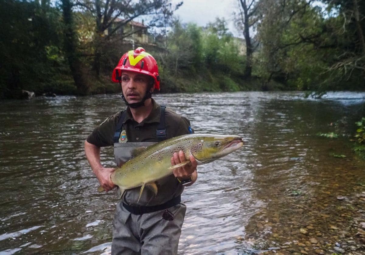 El salmón llega con adelanto