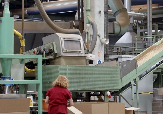 Trabajadora en la fábrica de Altadis de Entrambasaguas.