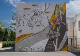 Mural sobre flores en el colegio de Nueva Montaña.