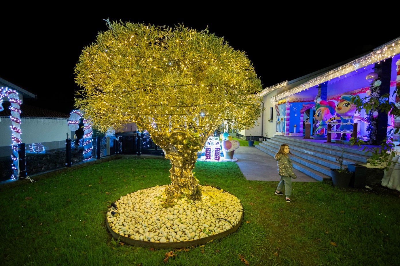 Otro de los árboles de su jardín que desprende luz.