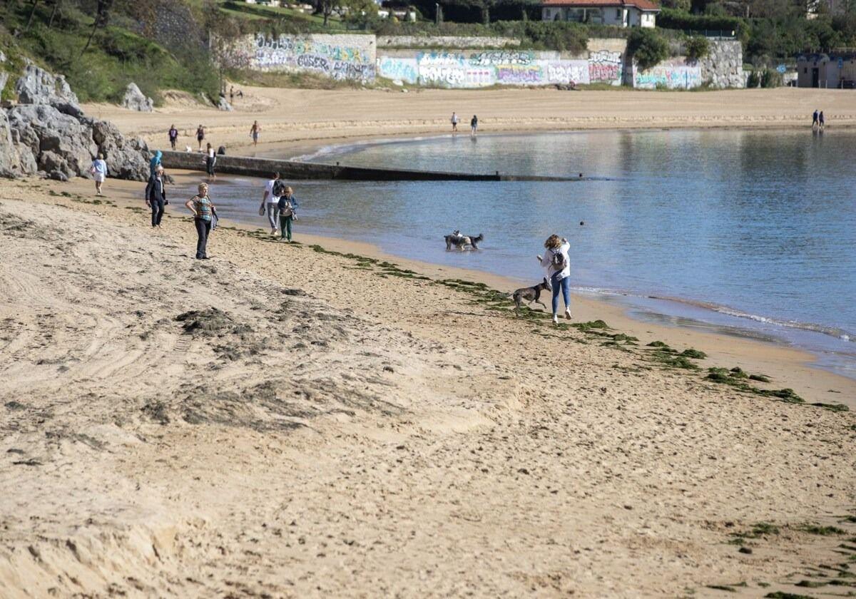 El servicio de limpieza de playas de Santander arrancará el 1 de enero