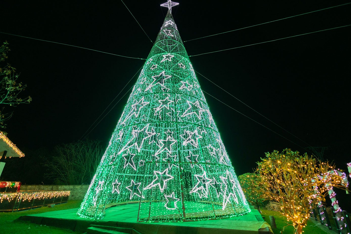 El árbol gigante es una de las atracciones de este año en Quijano.