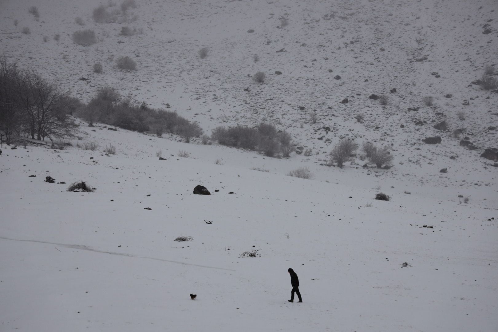 Un hombre camina por el campo, cubierto de nieve, en Camaleño